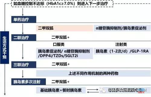 创新药项目尽调漫谈