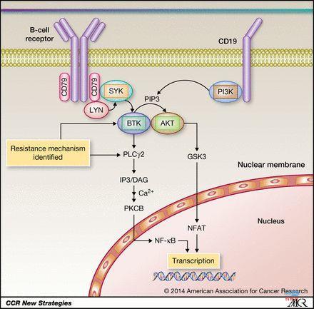 点击查看源网页 创新药项目尽调漫谈之二:实验数据