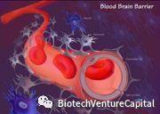 创新药项目尽调漫谈之二:实验数据