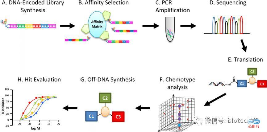 DELT助力新药发现(DNA编码化合物库技术漫谈)