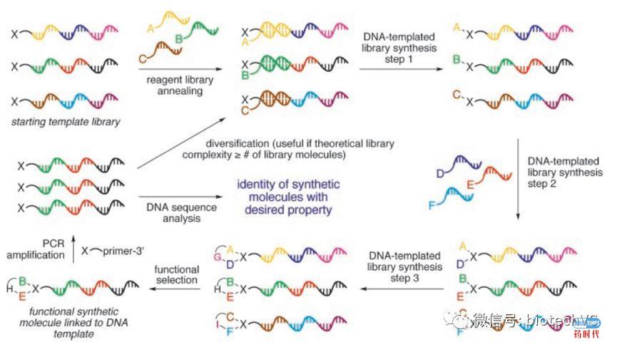 DELT助力新药发现(DNA编码化合物库技术漫谈)
