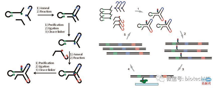 DELT助力新药发现(DNA编码化合物库技术漫谈)