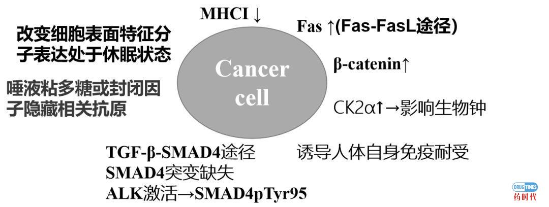 癌症复发转移的原因对癌症药物研发及治疗策略的启示