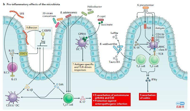 癌症复发转移的原因对癌症药物研发及治疗策略的启示