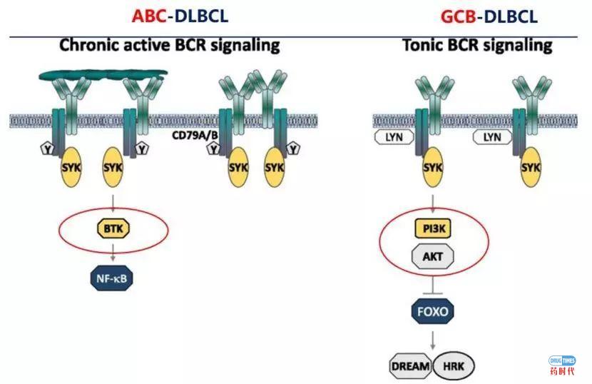 我们喜欢的ME TOO策略是什么样的?