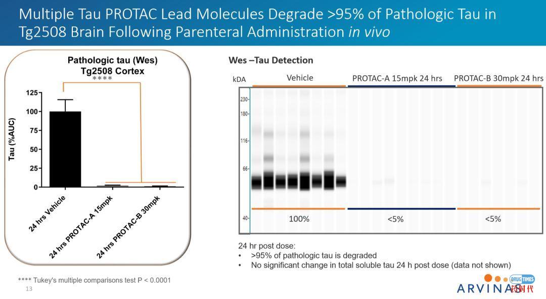 PROTAC技术挑战tau蛋白病