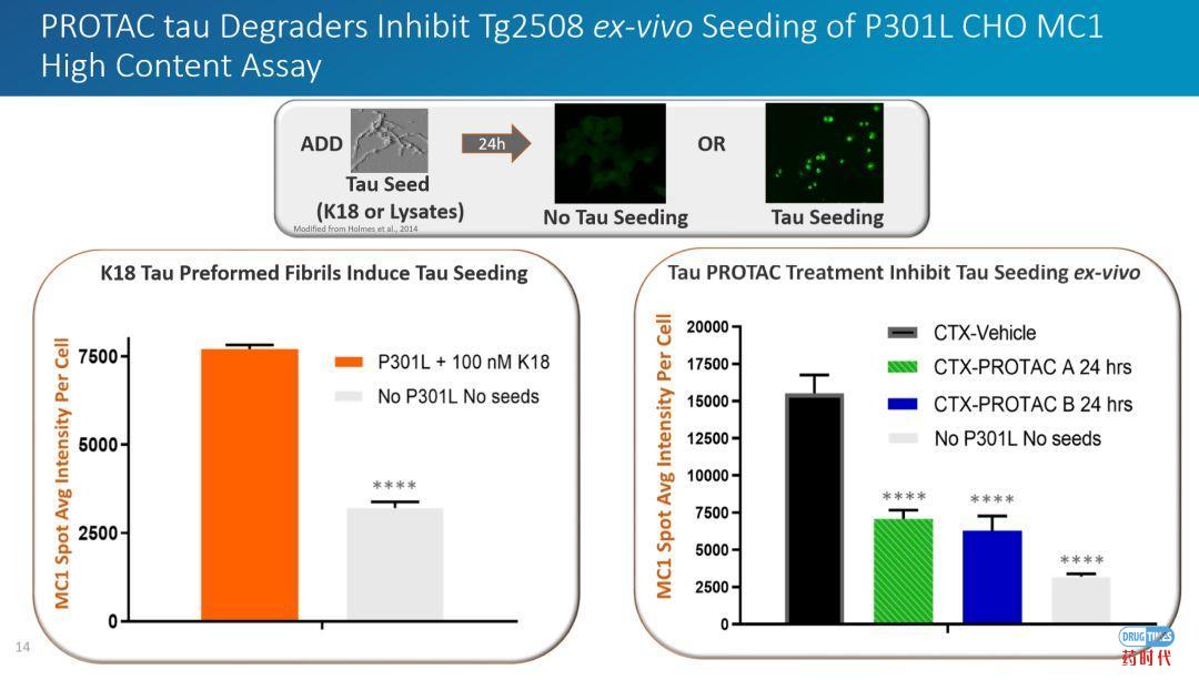 PROTAC技术挑战tau蛋白病