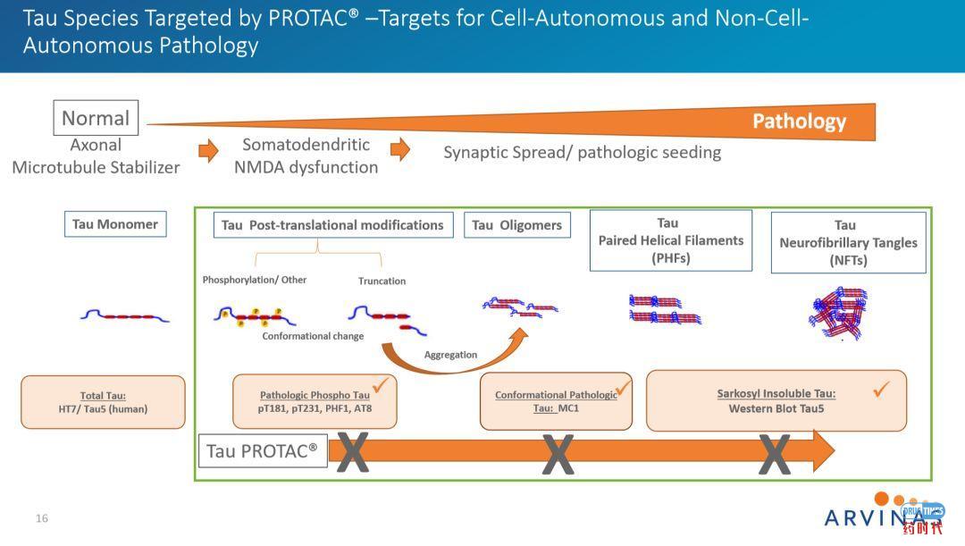PROTAC技术挑战tau蛋白病