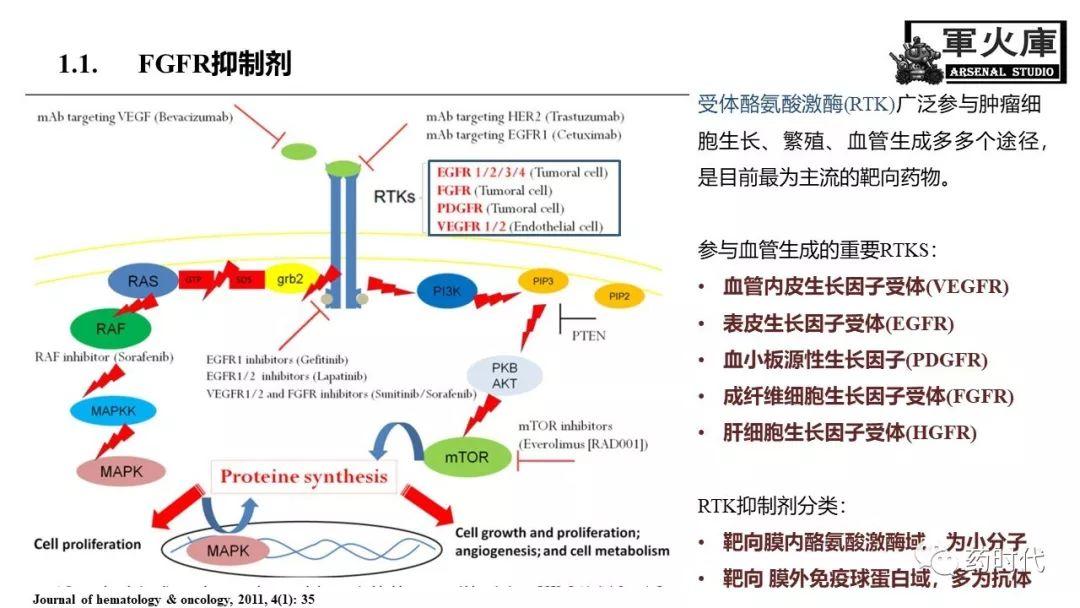 恺军&司铁 | 力荐！CSCO李进老师提到的那些靶、那些药