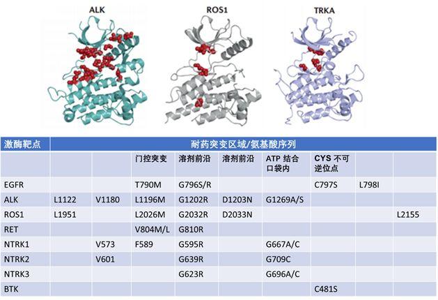 FDA 批准的38个激酶小分子抑制剂汇总分类、耐药机制及研发新动向