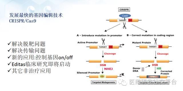 精准医疗的投资机会（更新版 83页PPT 免费下载）