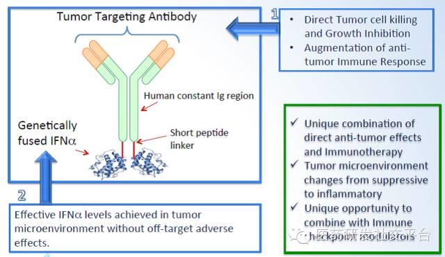 【重磅文章】肿瘤免疫疗法的下一波机会在哪里？