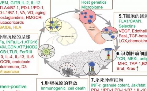 肿瘤免疫疗法最新进展之理论篇：PD-1也许是前无古人，后无来者