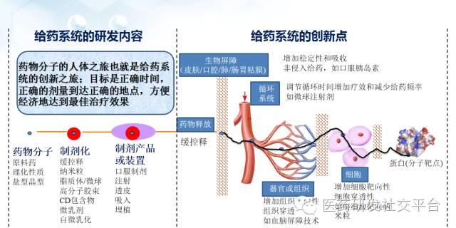 【谢雨礼博士】新型给药系统的研发策略（78页PPT，免费下载！）