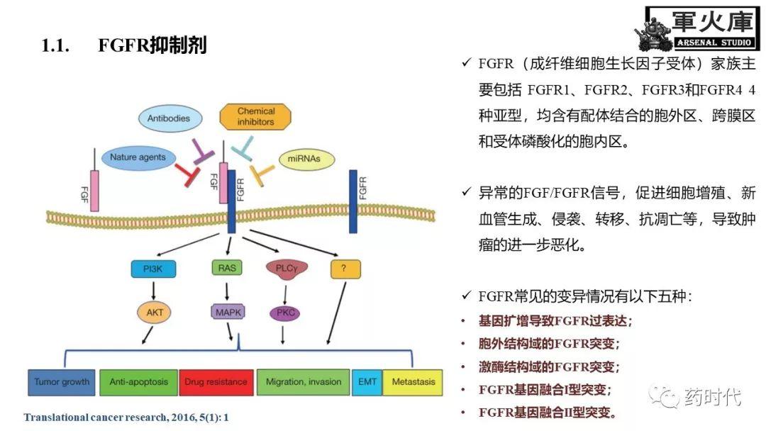 恺军&司铁 | 力荐！CSCO李进老师提到的那些靶、那些药