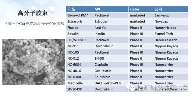 【谢雨礼博士】新型给药系统的研发策略（78页PPT，免费下载！）