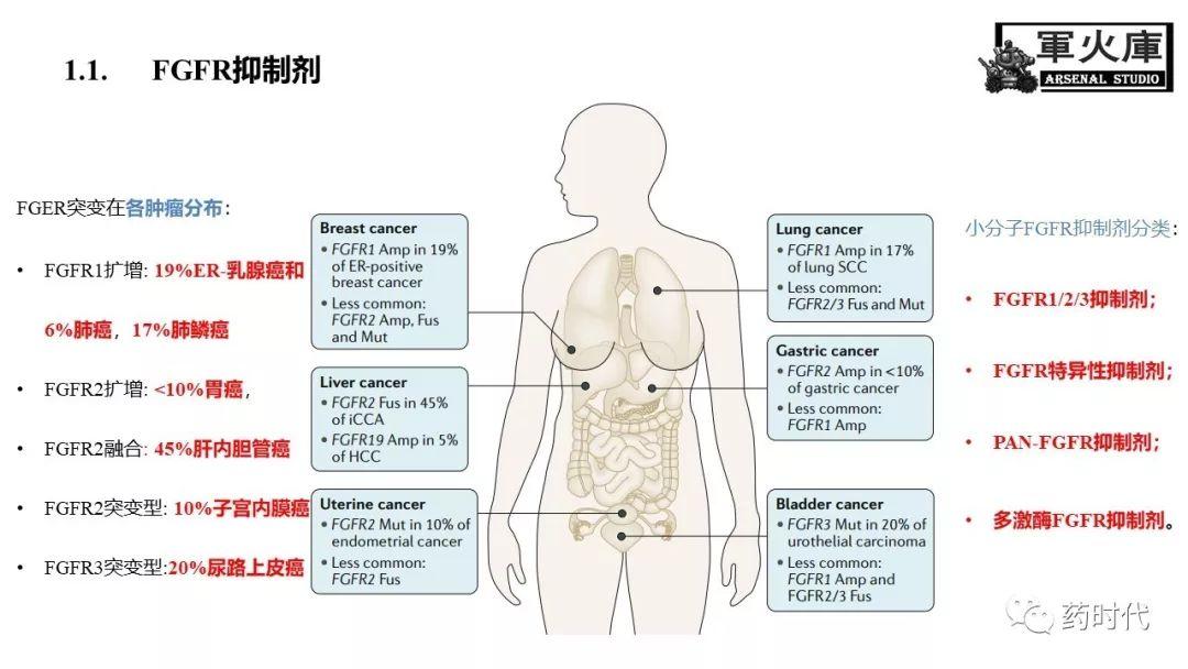 恺军&司铁 | 力荐！CSCO李进老师提到的那些靶、那些药