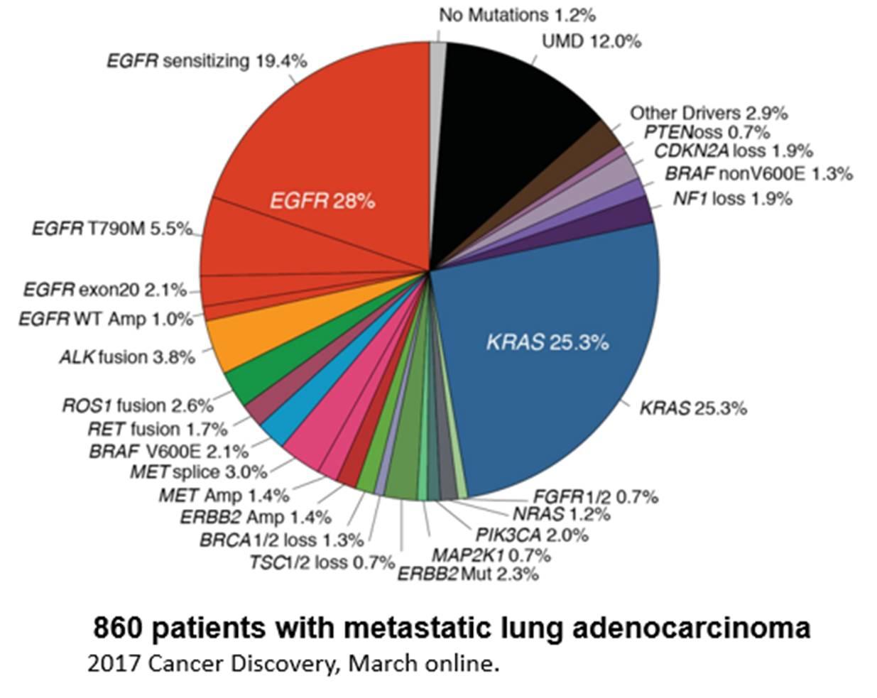 晚期肺癌怎么“诊+治”，看MSKCC的临床试验总结