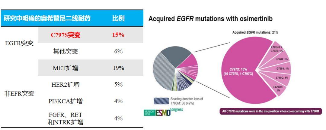 非小细胞肺癌(NSCLC)靶向药物系列 | EGFR抑制剂