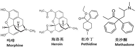 阿片镇痛药物: 军科院的遗憾和扬子江的奇迹