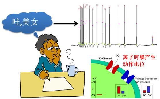 雨里：阿尔茨海默病百年黑暗中“闪烁”的曙光