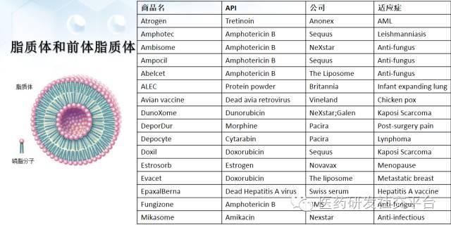 【谢雨礼博士】新型给药系统的研发策略（78页PPT，免费下载！）