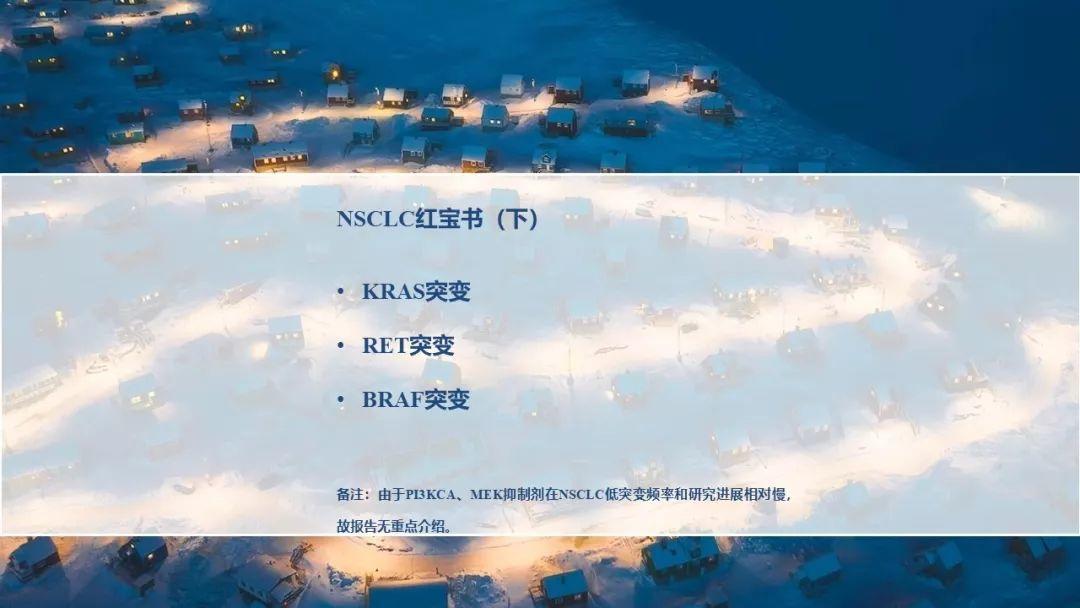 最前线！恺军＆司铁 | 肺癌靶向红宝书（完结篇）