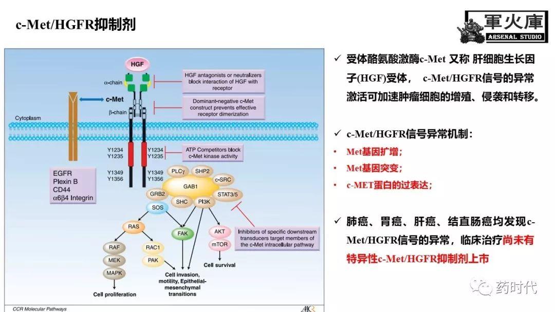 恺军&司铁 | 开学有礼！肺癌靶向药物红宝书！