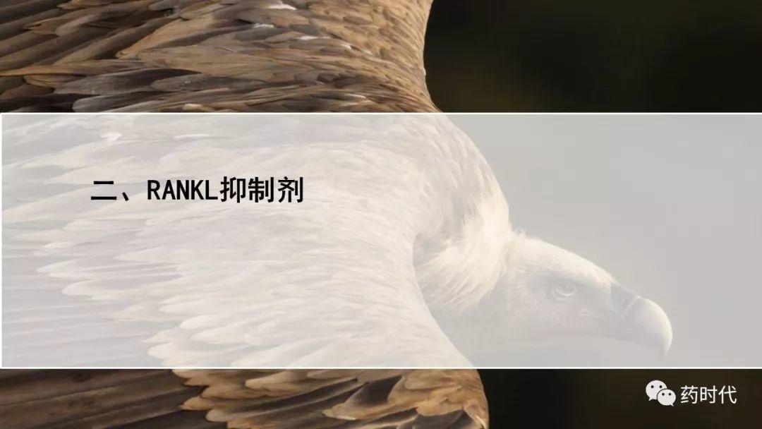恺军&司铁 | 力荐！CSCO李进老师提到的那些靶、那些药