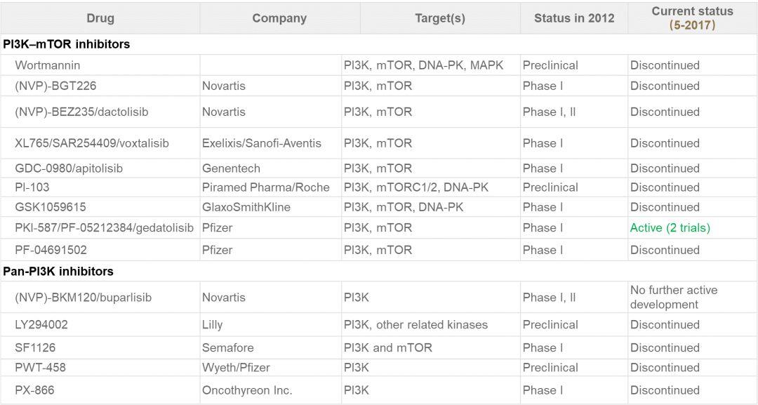 靶向PI3K最新进展浅析——还有翻身仗可打吗？