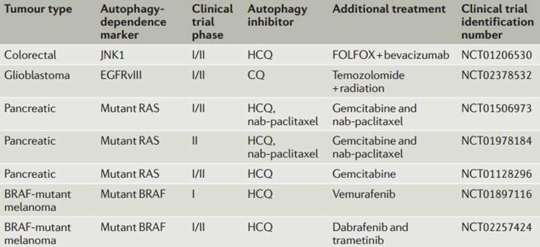 自噬诺奖一周年 | 靶向自噬的肿瘤药物研发前景浅析