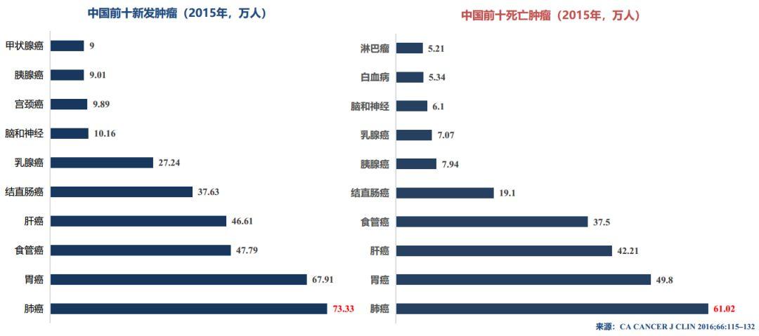 非小细胞肺癌(NSCLC)靶向药物系列 | EGFR抑制剂