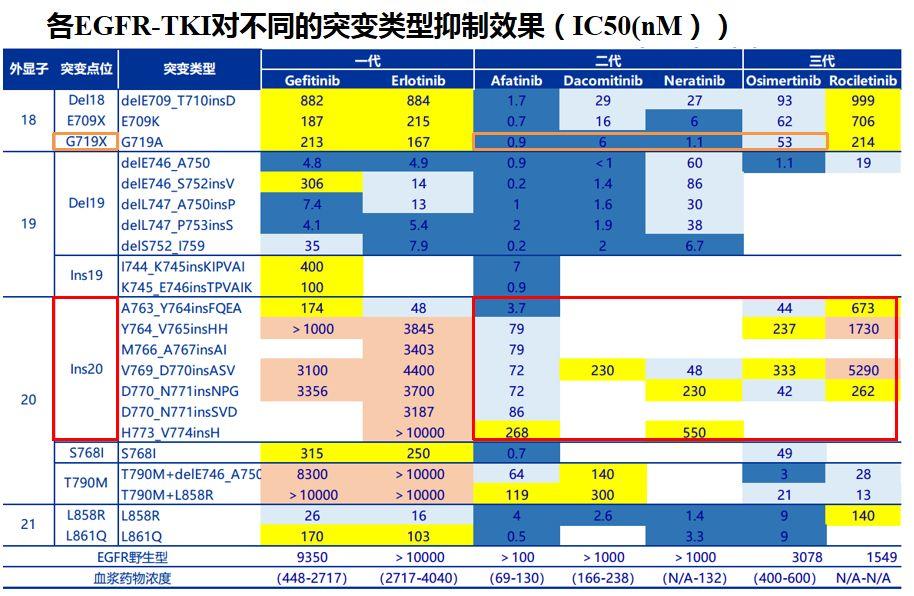 非小细胞肺癌(NSCLC)靶向药物系列 | EGFR抑制剂