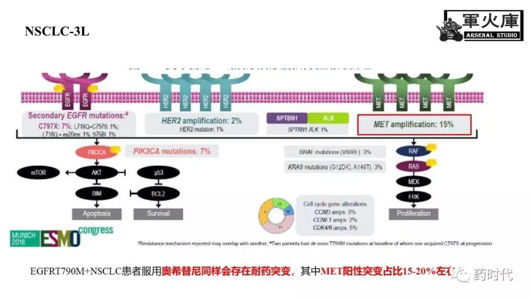 恺军&司铁 | 力荐！CSCO李进老师提到的那些靶、那些药