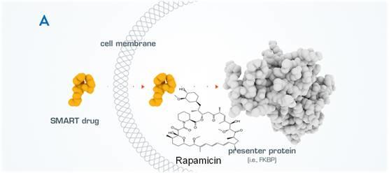 雨里：小分子药物发现的新技术和新思维