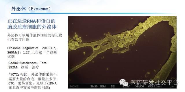 精准医疗的投资机会（更新版 83页PPT 免费下载）