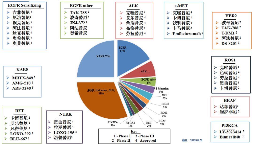 非小细胞肺癌(NSCLC)靶向药物系列 | EGFR抑制剂