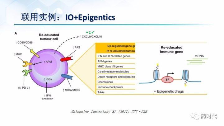 谢雨礼博士：肿瘤免疫疗法（IO）的联用策略