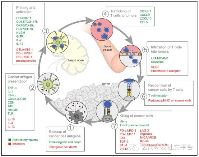 【重磅文章】肿瘤免疫疗法的下一波机会在哪里？
