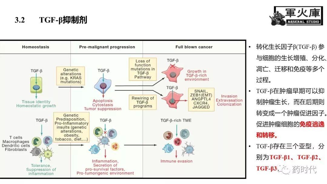 恺军&司铁 | 力荐！CSCO李进老师提到的那些靶、那些药
