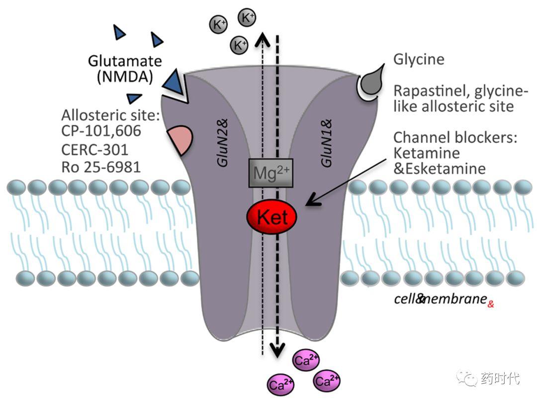 抗抑郁新药氯胺酮研发最新进展浅析