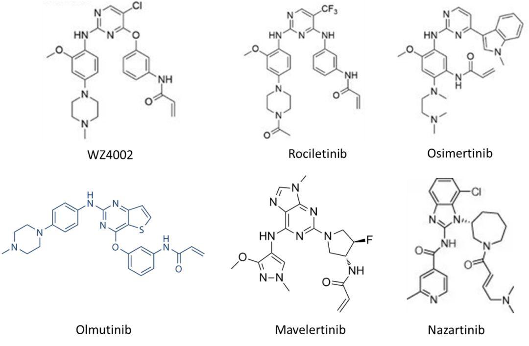 肺癌EGFR靶向药奥希替尼（Osimertinib，TAGRISSO）赢者通吃？