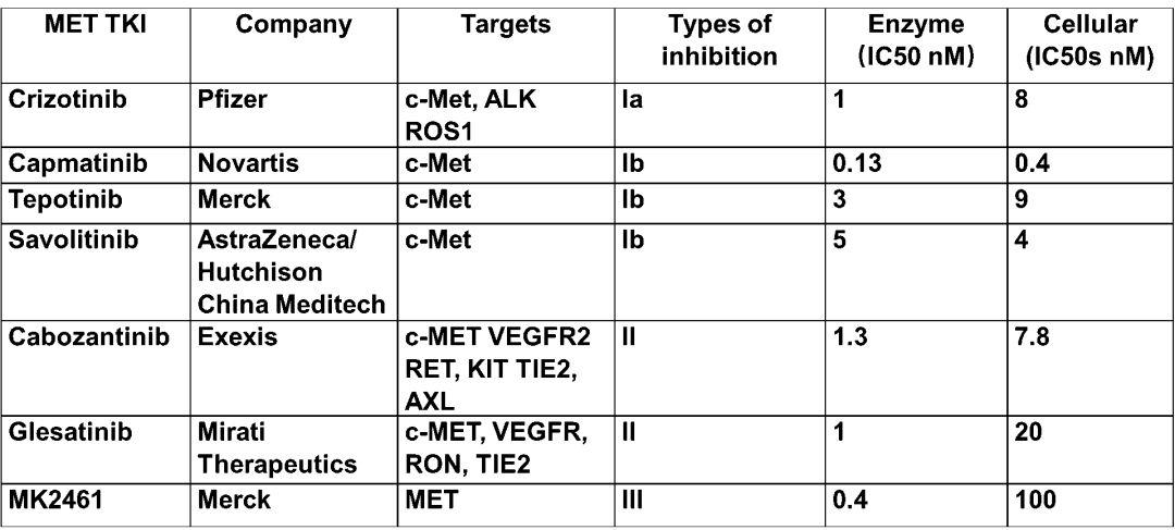靶向MET的春天要来到了吗?