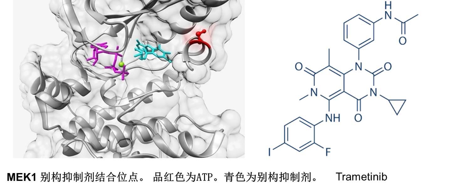 激酶别构抑制剂，会带给我们惊喜吗？