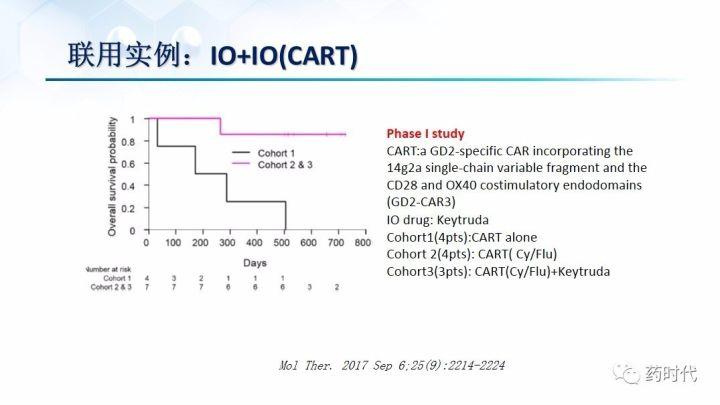 谢雨礼博士：肿瘤免疫疗法（IO）的联用策略