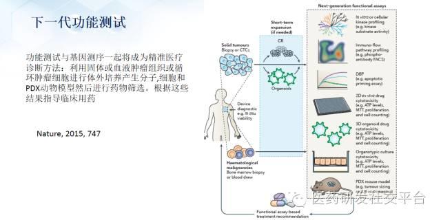 精准医疗的投资机会（更新版 83页PPT 免费下载）