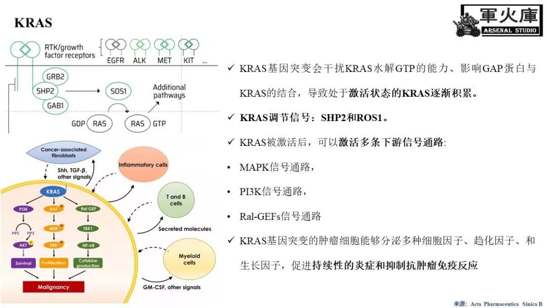 最前线！恺军＆司铁 | 肺癌靶向红宝书（完结篇）