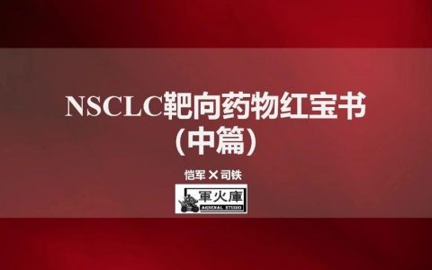 敲黑板了！恺军&司铁 | 肺癌靶向药物红宝书（中篇）
