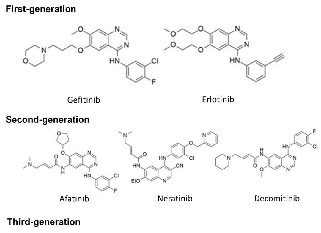 肺癌EGFR靶向药奥希替尼（Osimertinib，TAGRISSO）赢者通吃？