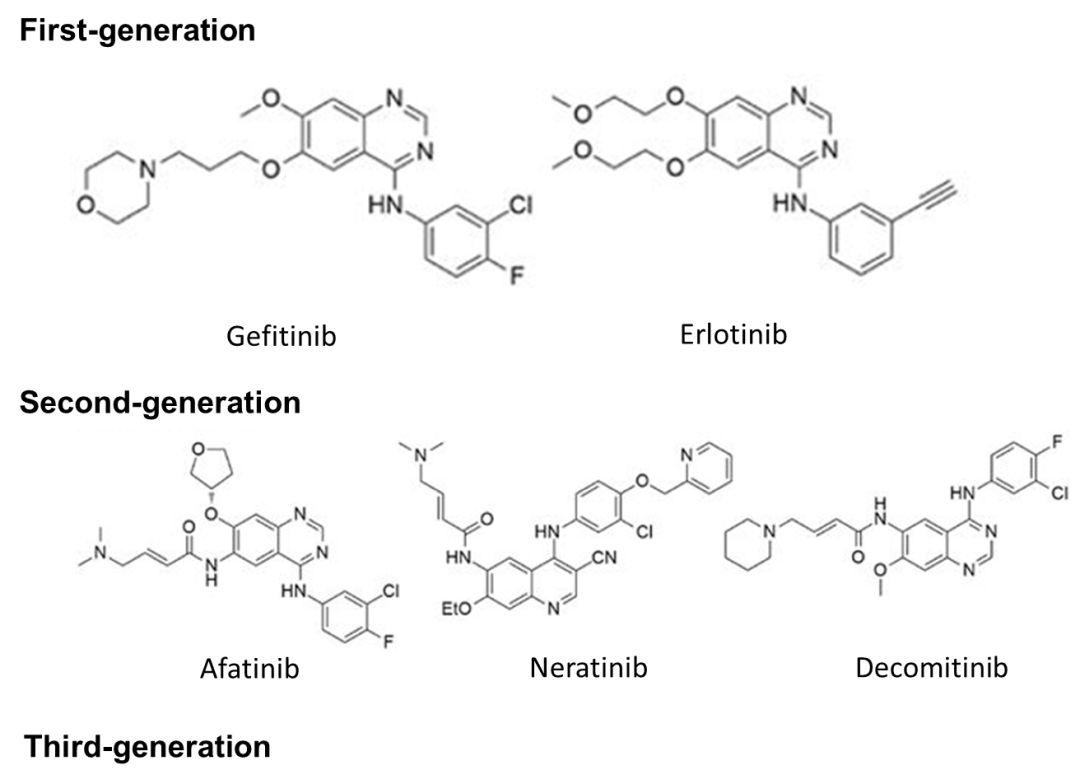 肺癌EGFR靶向药奥希替尼（Osimertinib，TAGRISSO）赢者通吃？